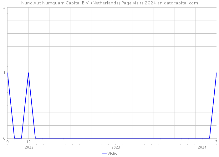 Nunc Aut Numquam Capital B.V. (Netherlands) Page visits 2024 