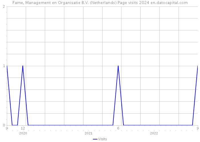 Fame, Management en Organisatie B.V. (Netherlands) Page visits 2024 