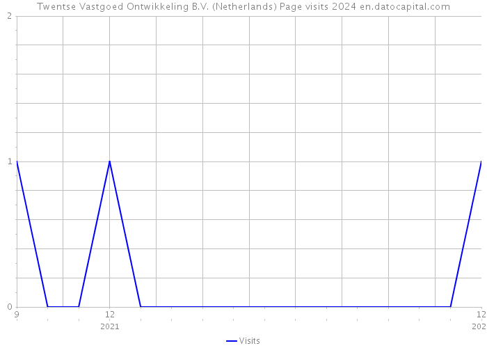 Twentse Vastgoed Ontwikkeling B.V. (Netherlands) Page visits 2024 