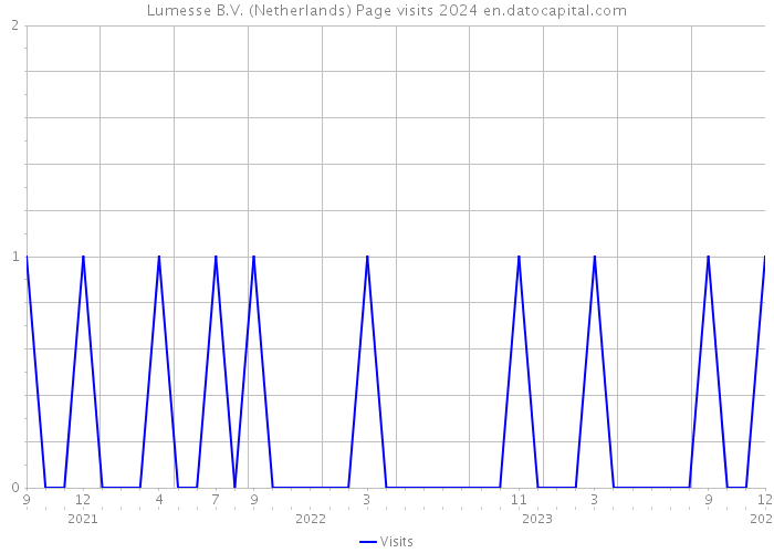 Lumesse B.V. (Netherlands) Page visits 2024 