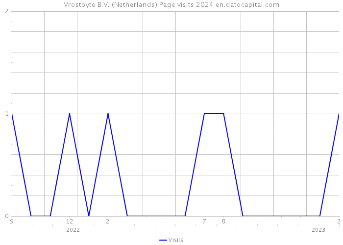 Vrostbyte B.V. (Netherlands) Page visits 2024 