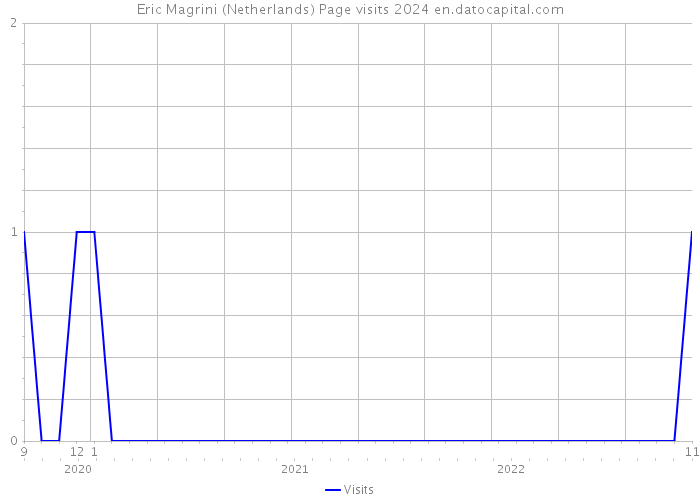 Eric Magrini (Netherlands) Page visits 2024 
