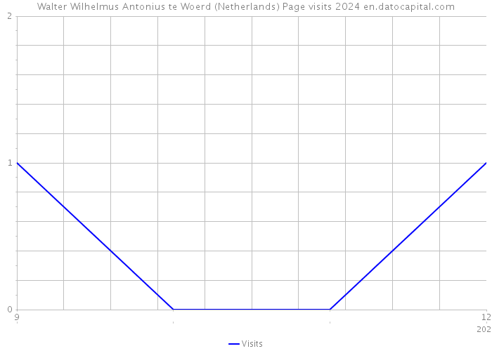 Walter Wilhelmus Antonius te Woerd (Netherlands) Page visits 2024 