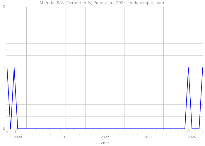 Manuka B.V. (Netherlands) Page visits 2024 