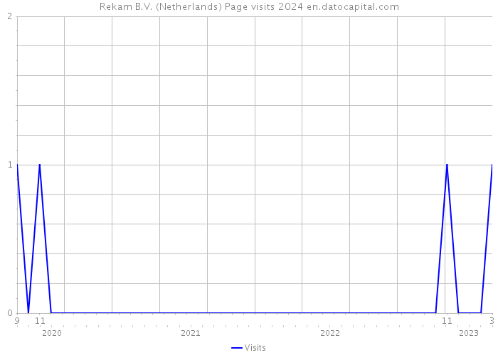 Rekam B.V. (Netherlands) Page visits 2024 