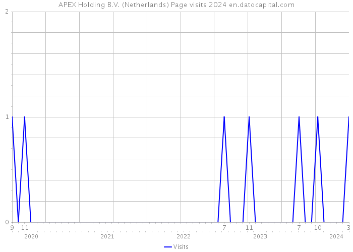 APEX Holding B.V. (Netherlands) Page visits 2024 