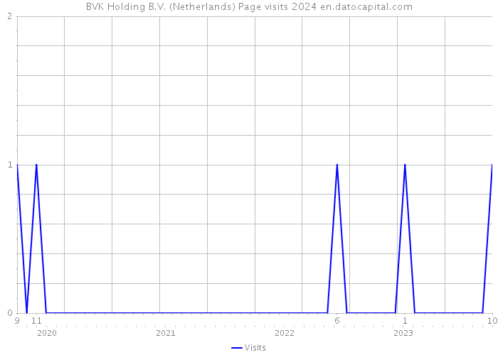 BVK Holding B.V. (Netherlands) Page visits 2024 