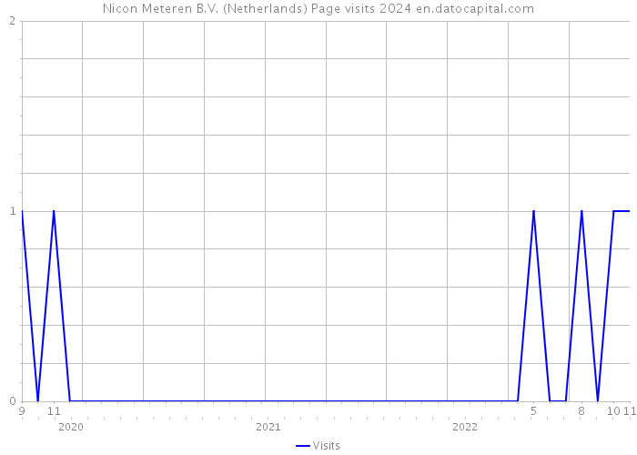 Nicon Meteren B.V. (Netherlands) Page visits 2024 