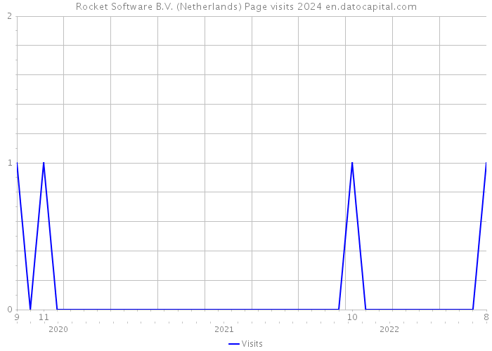 Rocket Software B.V. (Netherlands) Page visits 2024 