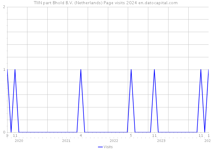 TIIN part Bhold B.V. (Netherlands) Page visits 2024 