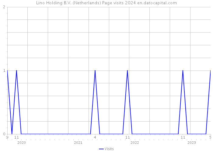 Lino Holding B.V. (Netherlands) Page visits 2024 