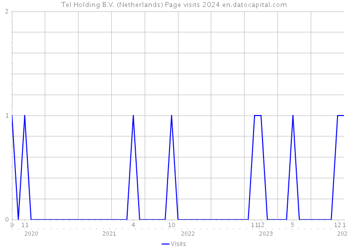 Tel Holding B.V. (Netherlands) Page visits 2024 