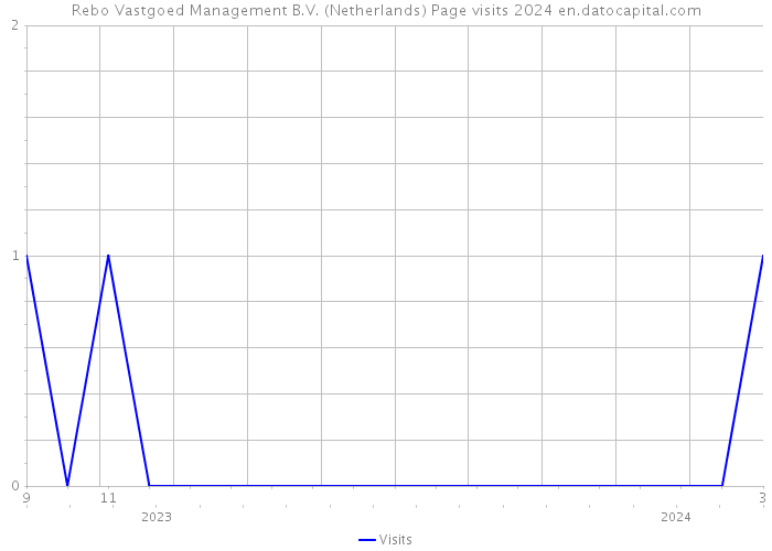 Rebo Vastgoed Management B.V. (Netherlands) Page visits 2024 