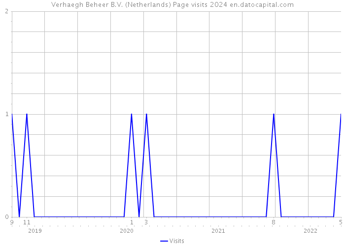 Verhaegh Beheer B.V. (Netherlands) Page visits 2024 