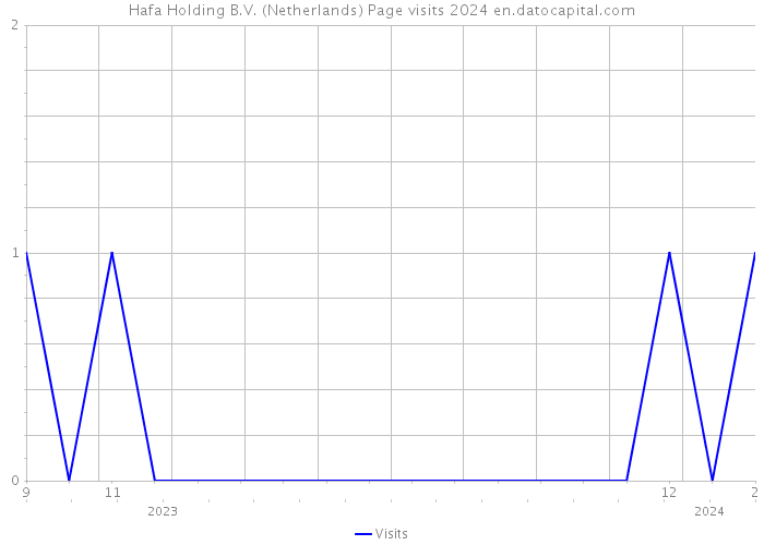 Hafa Holding B.V. (Netherlands) Page visits 2024 