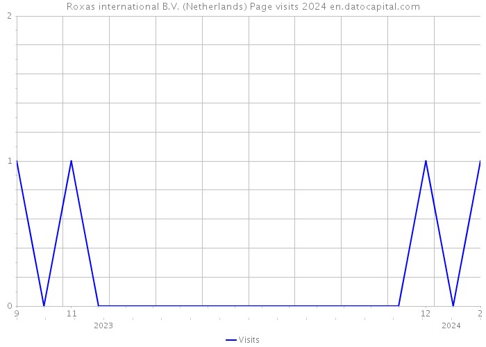 Roxas international B.V. (Netherlands) Page visits 2024 