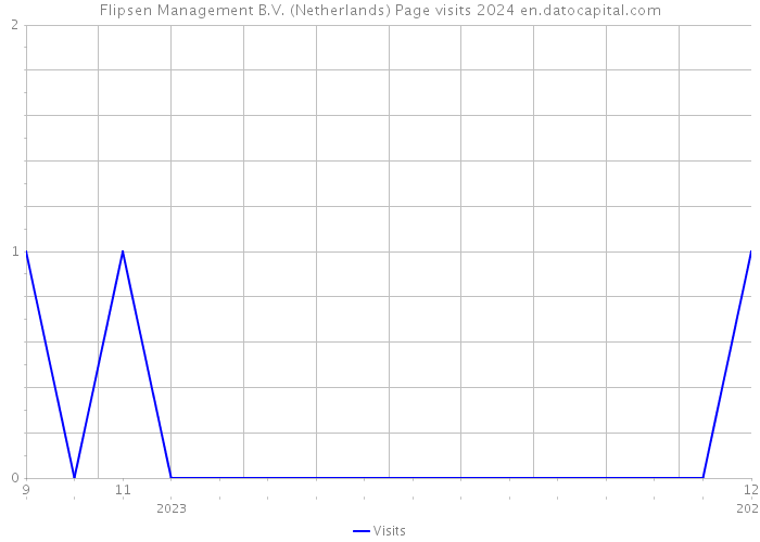 Flipsen Management B.V. (Netherlands) Page visits 2024 