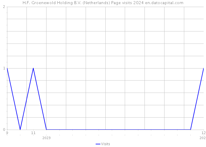H.F. Groenewold Holding B.V. (Netherlands) Page visits 2024 