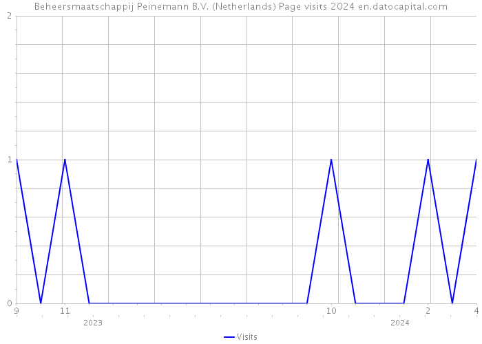 Beheersmaatschappij Peinemann B.V. (Netherlands) Page visits 2024 