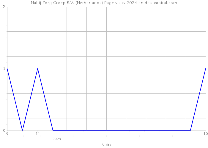 Nabij Zorg Groep B.V. (Netherlands) Page visits 2024 