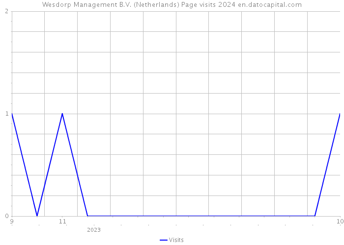 Wesdorp Management B.V. (Netherlands) Page visits 2024 