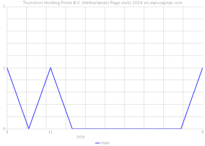 Tecnotion Holding Polen B.V. (Netherlands) Page visits 2024 