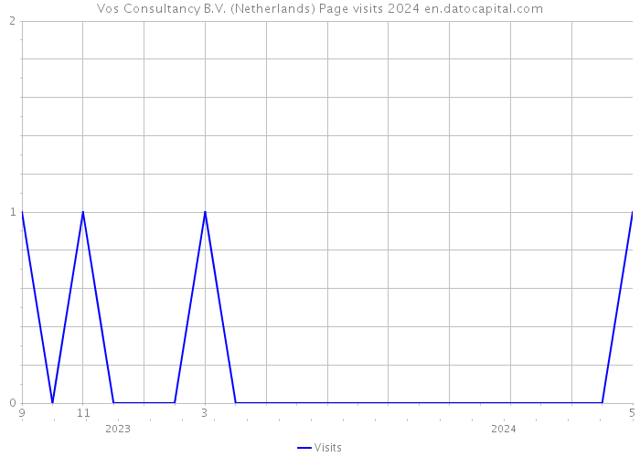 Vos Consultancy B.V. (Netherlands) Page visits 2024 