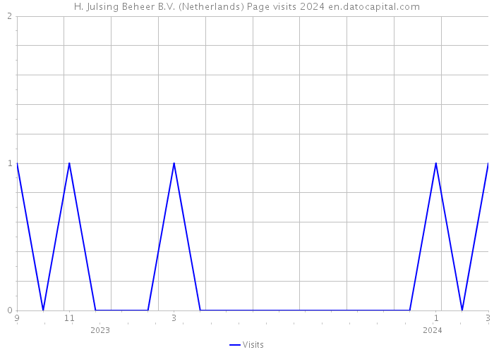 H. Julsing Beheer B.V. (Netherlands) Page visits 2024 