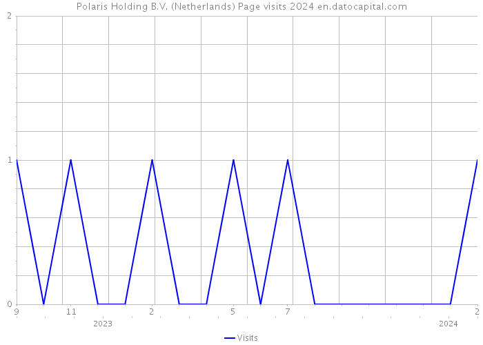 Polaris Holding B.V. (Netherlands) Page visits 2024 