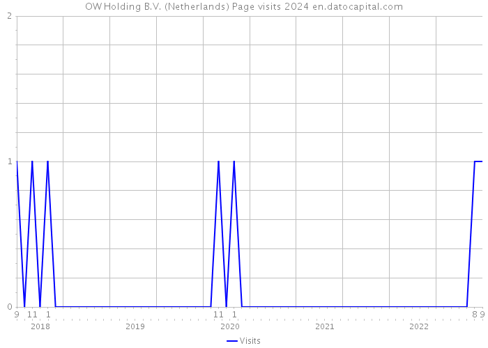 OW Holding B.V. (Netherlands) Page visits 2024 