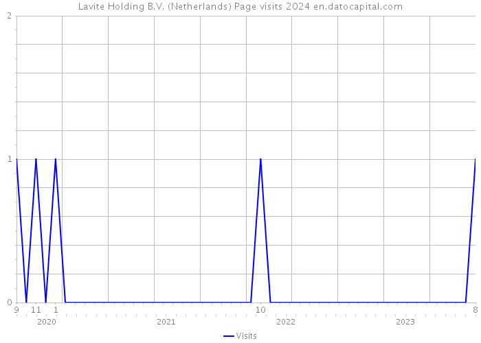 Lavite Holding B.V. (Netherlands) Page visits 2024 