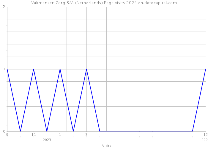 Vakmensen Zorg B.V. (Netherlands) Page visits 2024 