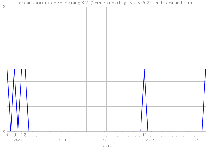 Tandartspraktijk de Boemerang B.V. (Netherlands) Page visits 2024 