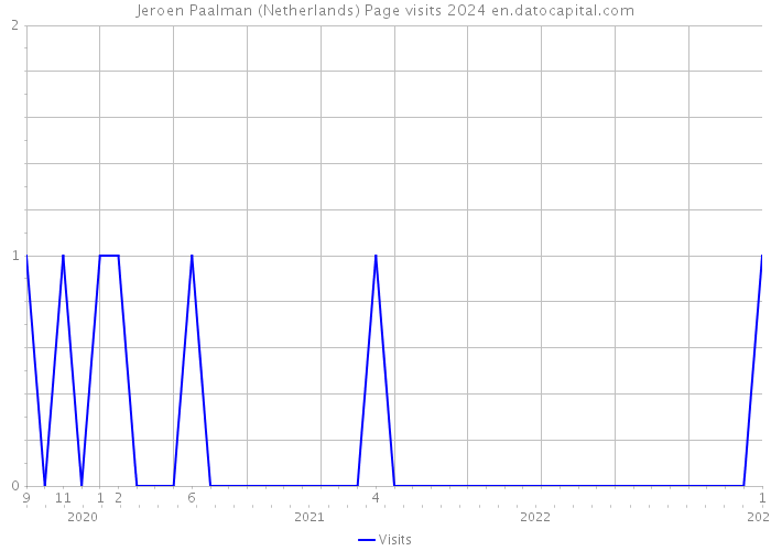 Jeroen Paalman (Netherlands) Page visits 2024 