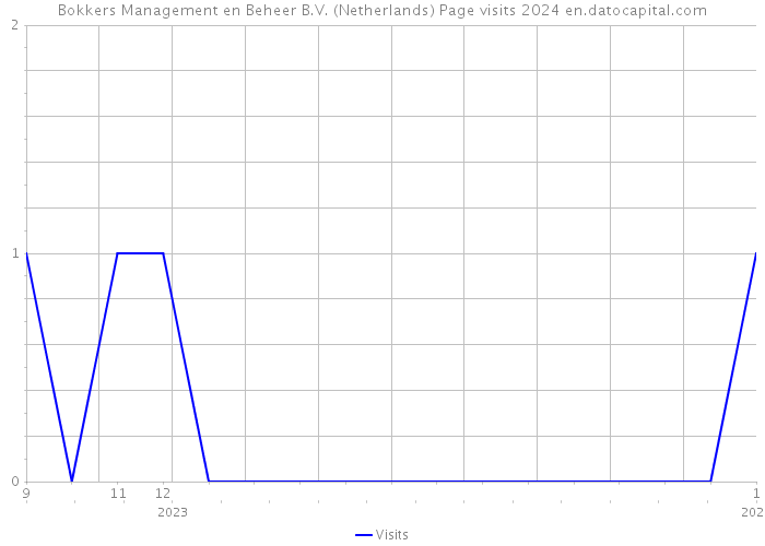 Bokkers Management en Beheer B.V. (Netherlands) Page visits 2024 