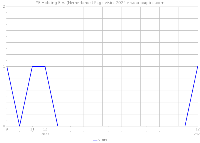 YB Holding B.V. (Netherlands) Page visits 2024 