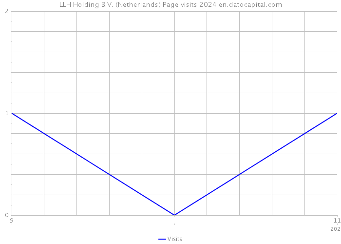 LLH Holding B.V. (Netherlands) Page visits 2024 