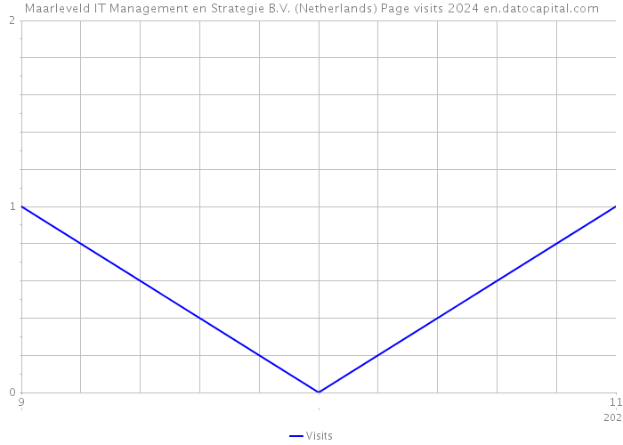 Maarleveld IT Management en Strategie B.V. (Netherlands) Page visits 2024 