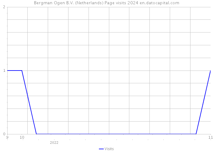 Bergman Ogen B.V. (Netherlands) Page visits 2024 