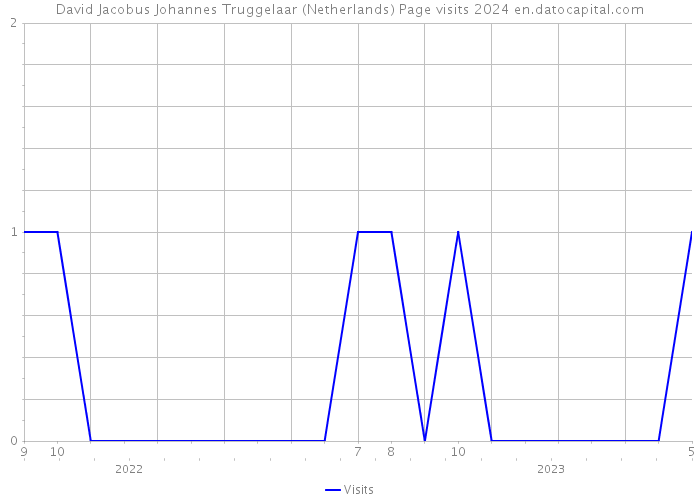 David Jacobus Johannes Truggelaar (Netherlands) Page visits 2024 