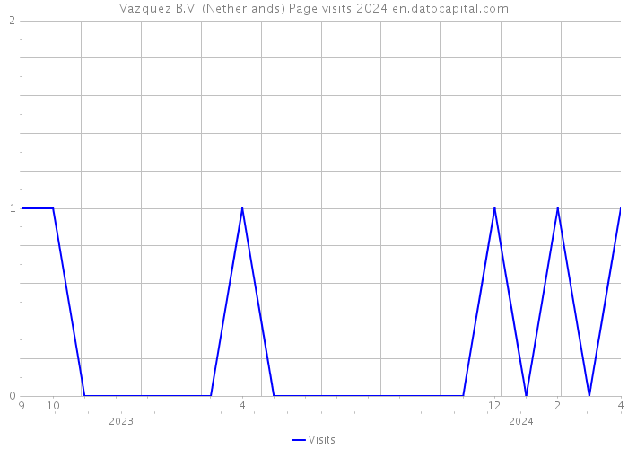 Vazquez B.V. (Netherlands) Page visits 2024 