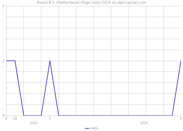Riachi B.V. (Netherlands) Page visits 2024 