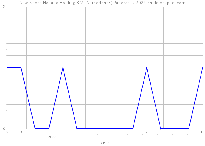 New Noord Holland Holding B.V. (Netherlands) Page visits 2024 