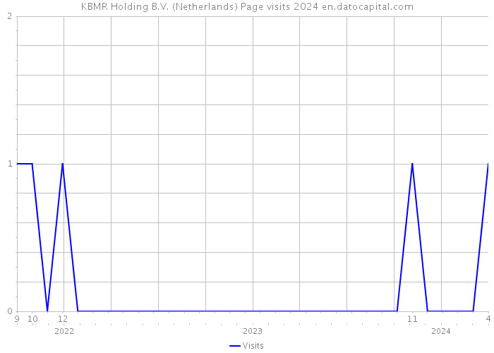 KBMR Holding B.V. (Netherlands) Page visits 2024 