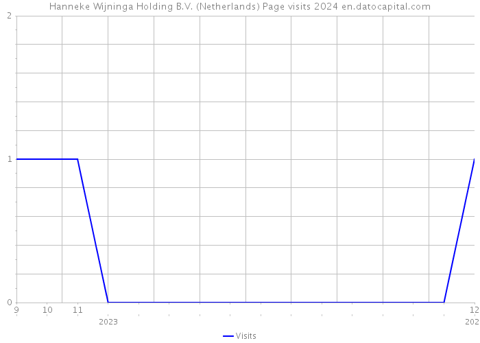 Hanneke Wijninga Holding B.V. (Netherlands) Page visits 2024 
