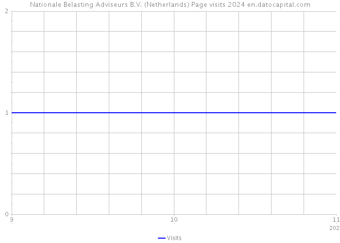 Nationale Belasting Adviseurs B.V. (Netherlands) Page visits 2024 