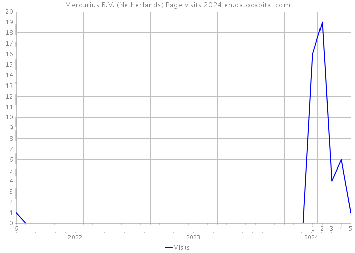 Mercurius B.V. (Netherlands) Page visits 2024 
