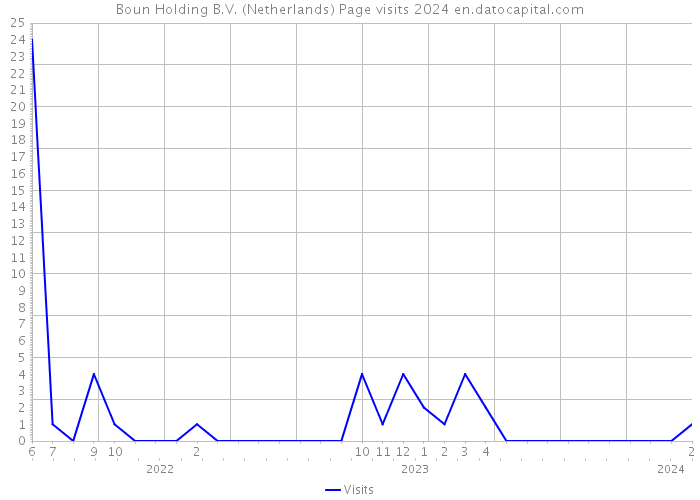 Boun Holding B.V. (Netherlands) Page visits 2024 