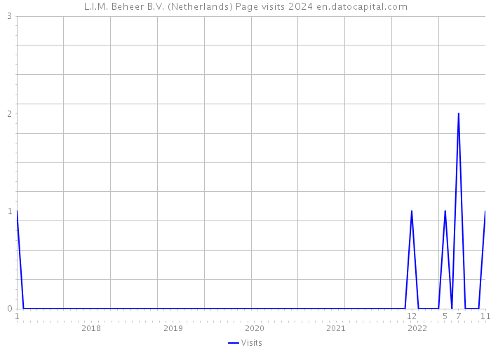 L.I.M. Beheer B.V. (Netherlands) Page visits 2024 