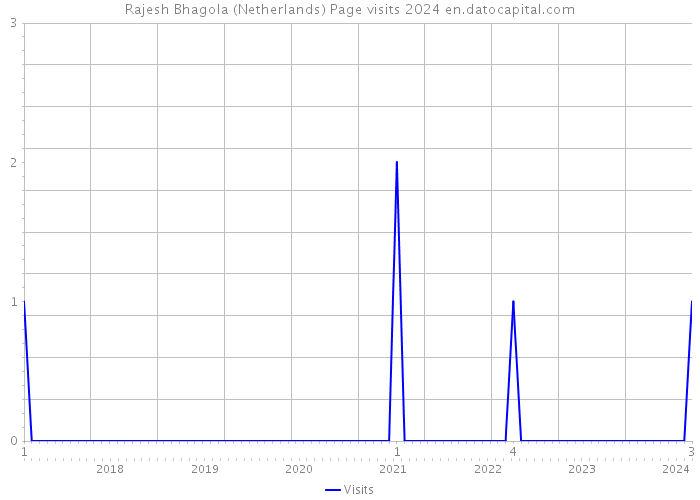 Rajesh Bhagola (Netherlands) Page visits 2024 